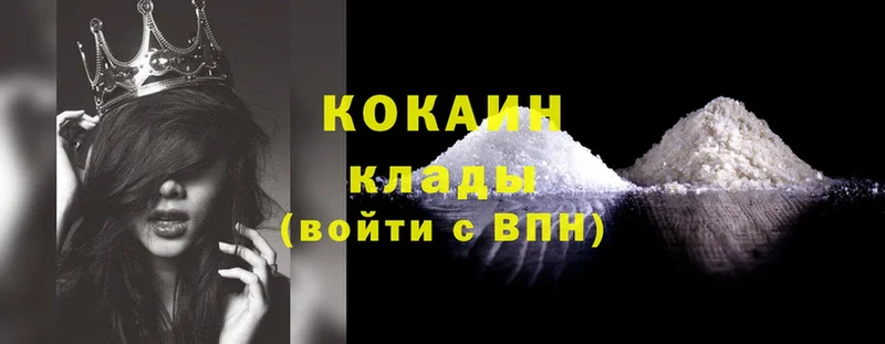 Кокаин Fish Scale  продажа наркотиков  shop официальный сайт  Мичуринск  kraken как войти 