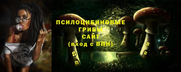 ALPHA PVP Новодвинск