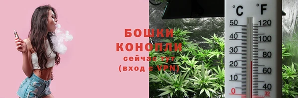 MDMA Новозыбков