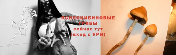 мяу мяу кристалл Нягань