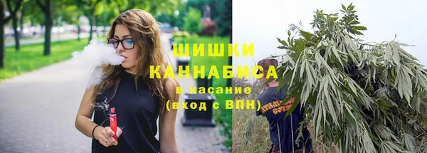 тгк Няндома