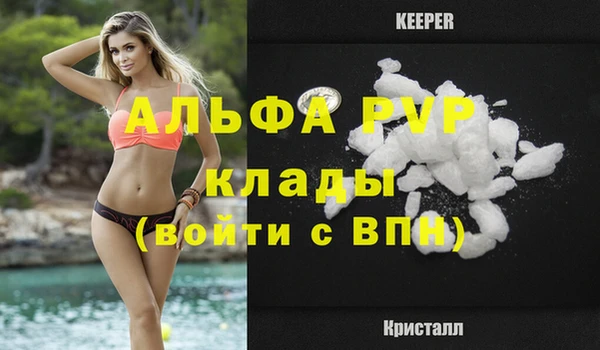тгк Няндома