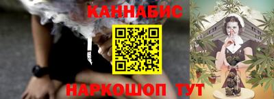 МДПВ Камышлов