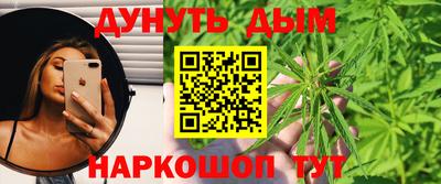 МДПВ Камышлов