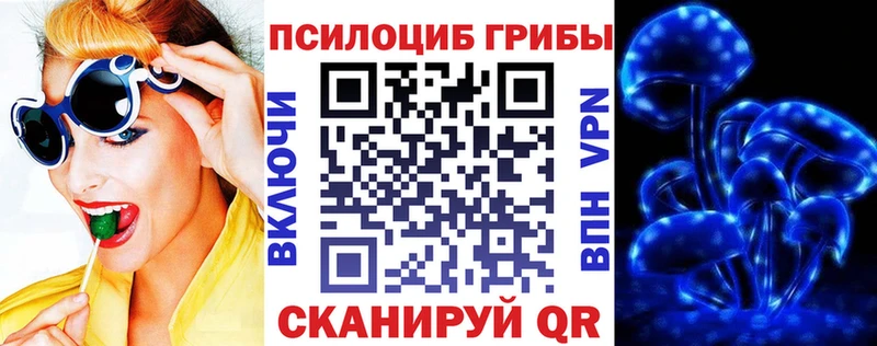 Псилоцибиновые грибы мухоморы площадка как зайти Мичуринск